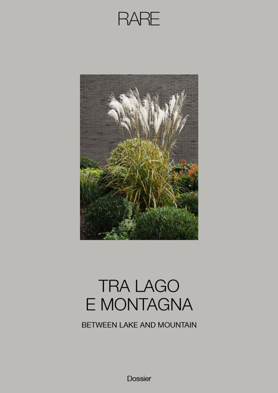 RARE lago montagna cover