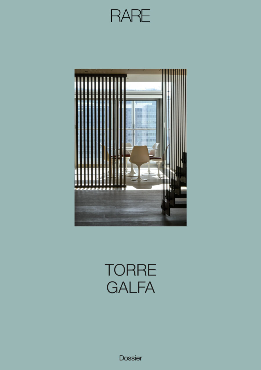 RARE torre galfa cover