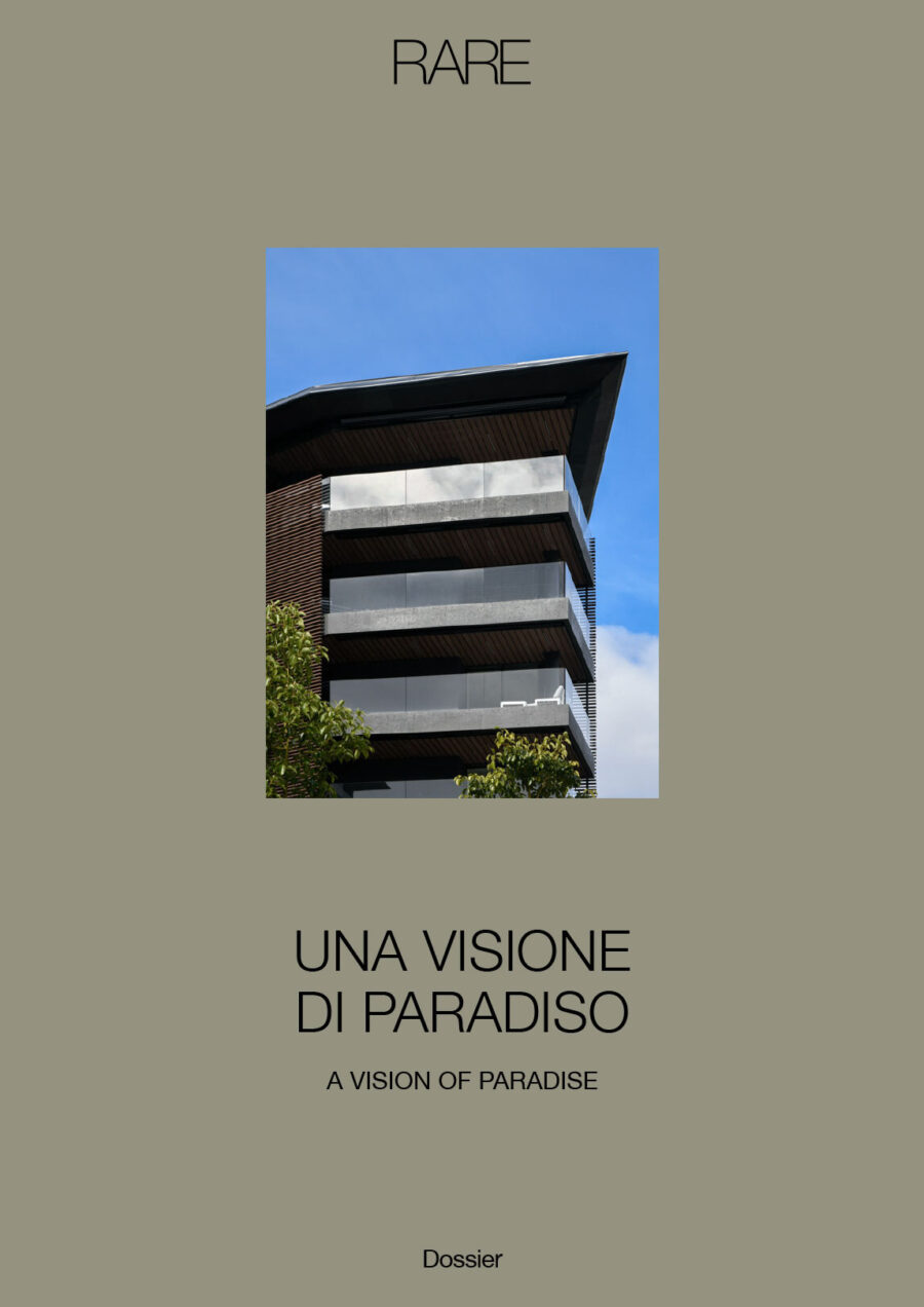 RARE visione di paradiso cover